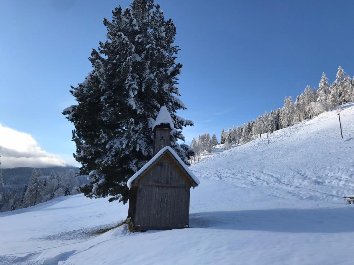 Wohlfuehlpension Kreischberg Inklusive Murau Sommergaestecard Ab 2 Naechte Sankt Georgen ob Murau Eksteriør billede