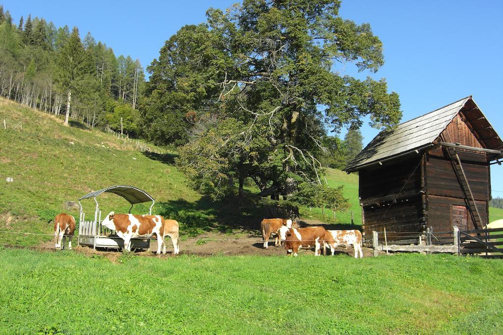 Wohlfuehlpension Kreischberg Inklusive Murau Sommergaestecard Ab 2 Naechte Sankt Georgen ob Murau Eksteriør billede