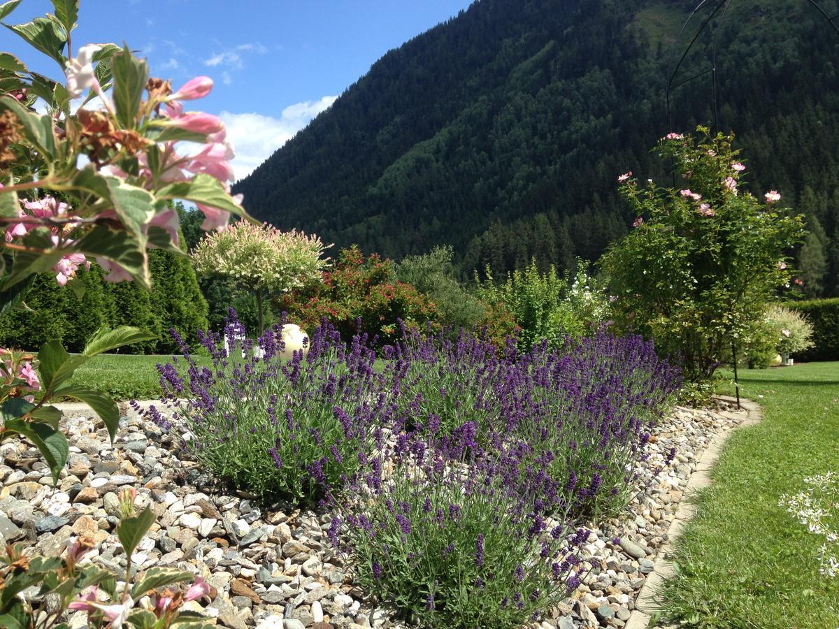 Wohlfuehlpension Kreischberg Inklusive Murau Sommergaestecard Ab 2 Naechte Sankt Georgen ob Murau Eksteriør billede