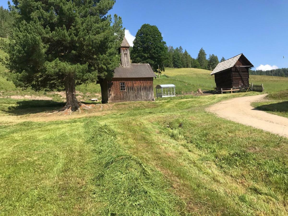 Wohlfuehlpension Kreischberg Inklusive Murau Sommergaestecard Ab 2 Naechte Sankt Georgen ob Murau Eksteriør billede