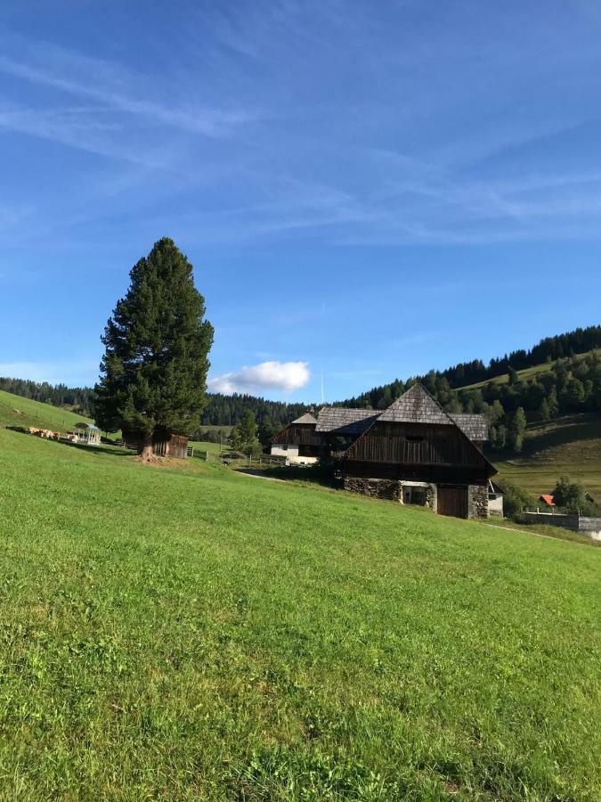 Wohlfuehlpension Kreischberg Inklusive Murau Sommergaestecard Ab 2 Naechte Sankt Georgen ob Murau Eksteriør billede